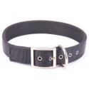 Lightweight Collar for Labrador in Classic Design, Nylon