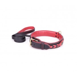 Exclusive Leather Dog Collar and Leash Set with red padding