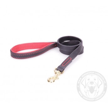 Designer Leather Dog Lead for Labrador for Everyday Walks