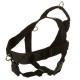 Labrador Harness with ID Patches for All-Weather Activities