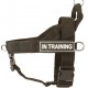 Labrador Harness with ID Patches for All-Weather Activities
