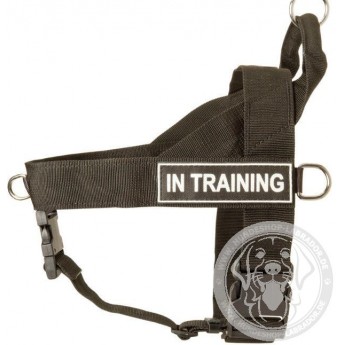 Labrador Harness with ID Patches for All-Weather Activities