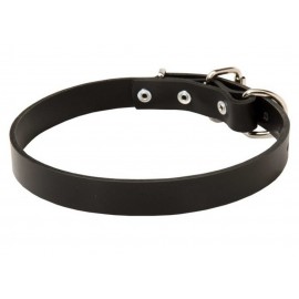 1 Inch Wide Leather Dog Collar