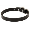 Classic Labrador Leather Dog Collar