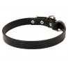 1 Inch Wide Leather Dog Collar