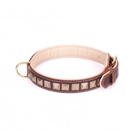 Brass Spiked Leather Labrador Collar with Skulls