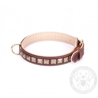 Brass Spiked Leather Labrador Collar with Skulls