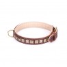 Brass Spiked Leather Labrador Collar with Skulls