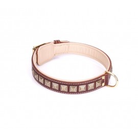 Brass Spiked Leather Labrador Collar with Skulls