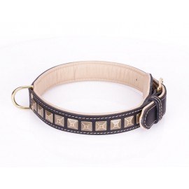 Brass Spiked Leather Labrador Collar with Skulls