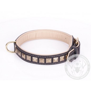 Brass Spiked Leather Labrador Collar with Skulls