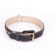 Brass Spiked Leather Labrador Collar with Skulls