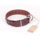 Brown Dog Collar for Labrador  with Stars Design FDT Artisan