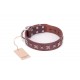 Brown Dog Collar for Labrador  with Stars Design FDT Artisan
