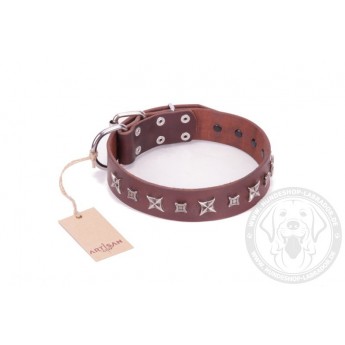 Brown Dog Collar for Labrador  with Stars Design FDT Artisan