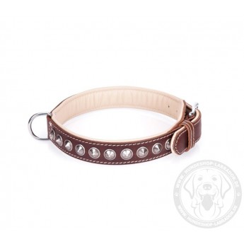 Handcrafted Brown Leather Dog Collar with Chrome-plated Spikes