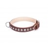 Handcrafted Brown Leather Dog Collar with Chrome-plated Spikes
