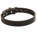 Leather Labrador Retriever Collar of Classic Design