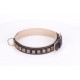 Black Leather Dog Collar with Brass Studs