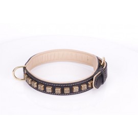 Black Leather Dog Collar with Brass Studs