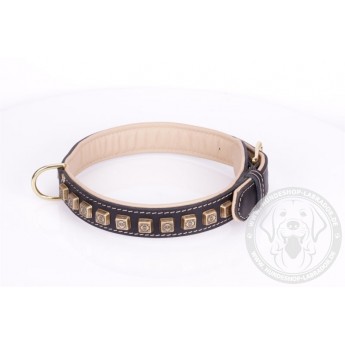 Black Leather Dog Collar with Brass Studs