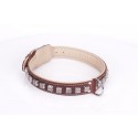 Brown Fordogtrainers Leather Dog Collar with Oldsilver-Like Studs