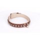 Brown Fordogtrainers Leather Dog Collar with Brass  Studs