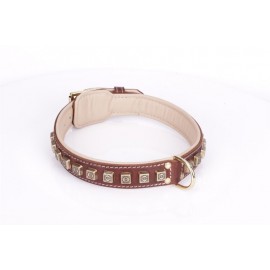 Brown Fordogtrainers Leather Dog Collar with Brass  Studs