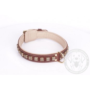 Brown Fordogtrainers Leather Dog Collar with Brass  Studs