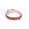 Brown Fordogtrainers Leather Dog Collar with Brass  Studs