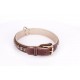 Brown Fordogtrainers Leather Dog Collar with Brass  Studs