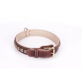 Brown Fordogtrainers Leather Dog Collar with Brass  Studs