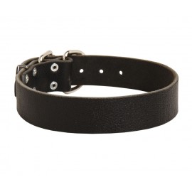 1 1/2 inch Wide Classic Collar