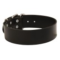 Extra Wide Labrador Collar of Genuine Leather