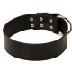 Extra Wide Leather Collar