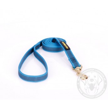 Dog Lead Made of Nylon for Labrador in Blue