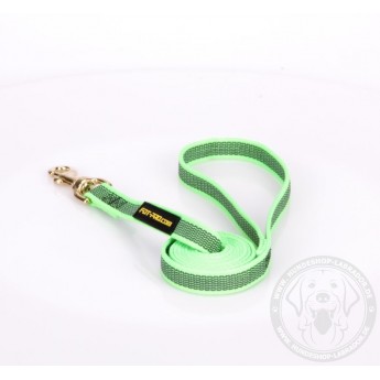 Dog Lead Made of Nylon for Labrador in Green