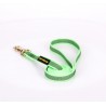 Dog Lead Made of Nylon for Labrador in Green