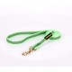 Dog Lead Made of Nylon for Labrador in Green