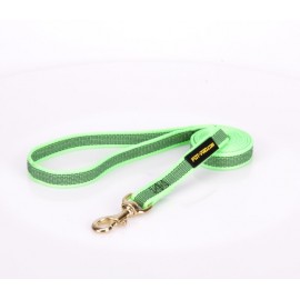 Dog Lead Made of Nylon for Labrador in Green