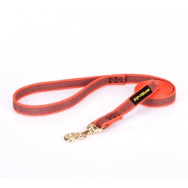 Dog Lead Made of Nylon for Labrador in Orange