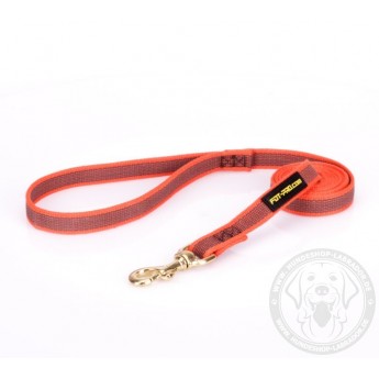 Dog Lead Made of Nylon for Labrador in Orange