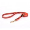 Dog Lead Made of Nylon for Labrador in Orange