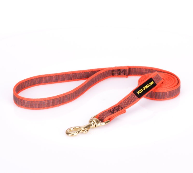 orange leash