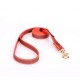 Dog Lead Made of Nylon for Labrador in Orange