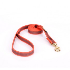 Dog Lead Made of Nylon for Labrador in Orange