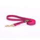 Dog Lead Made of Nylon for Labrador in Pink