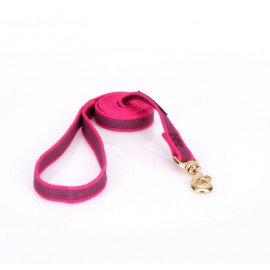 Dog Lead Made of Nylon for Labrador in Pink