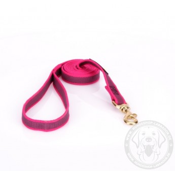 Dog Lead Made of Nylon for Labrador in Pink