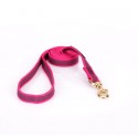 Dog Lead Made of Nylon for Labrador in Pink